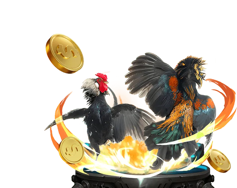 Hướng dẫn đăng ký và chơi đá gà tại 8day08